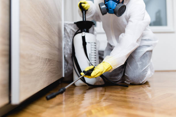 Best Pest Inspection Near Me  in Herricks, NY