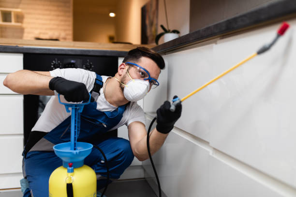 Best Pest Prevention Services  in Herricks, NY