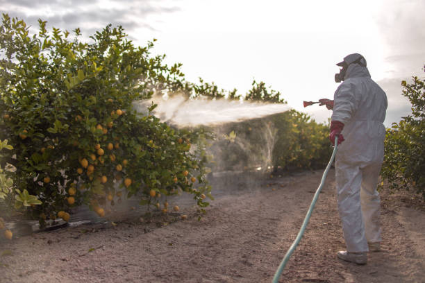  Herricks, NY Pest Control Pros