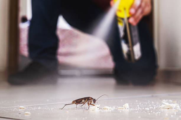 Best Residential Pest Control  in Herricks, NY