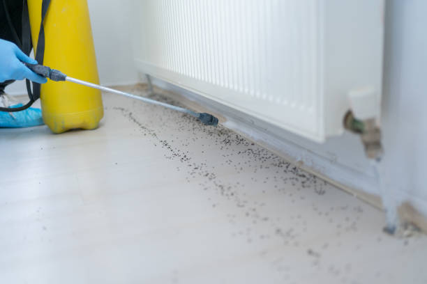 Best Best Pest Control Companies  in Herricks, NY