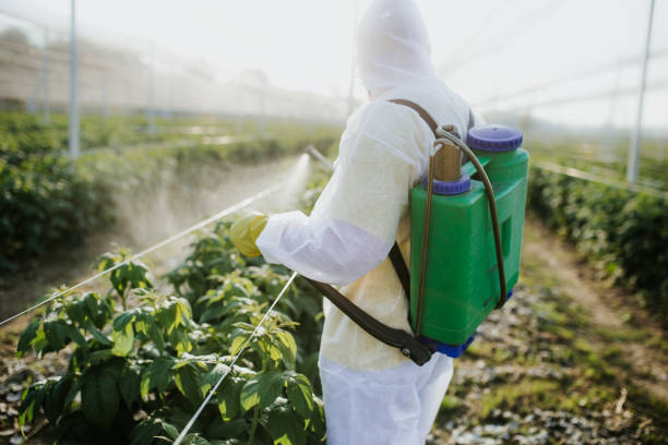Best Mosquito Control Services  in Herricks, NY